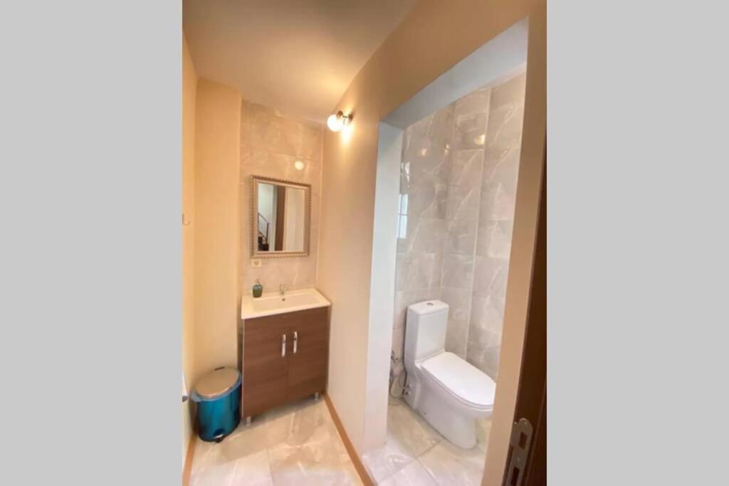 Duplex Suite Sultanahmet Istanbul Luaran gambar